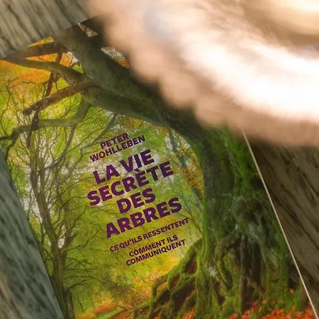 Le Monde De Charlie Гостевой дом Бельрив-сюр-Алье