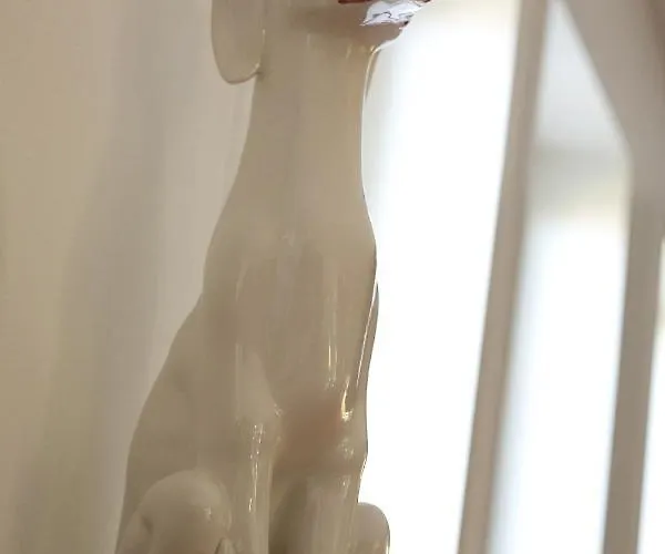 Chambres De Charme Avec Piscine - Le Monde De Charlie - Proche Vichy Гостевой дом Бельрив-сюр-Алье