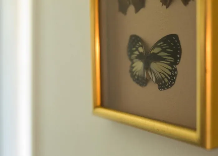 Chambres De Charme Avec Piscine - Le Monde De Charlie - Proche Vichy Гостевой дом 4*